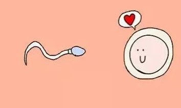 试管短方案成功率高吗？年龄、生活习惯都是重要的影响因素！