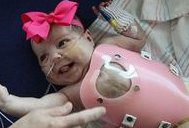 2026年人工受孕需要多少钱？能做吗？