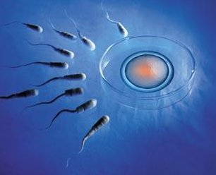 不孕不育在怀化市做试管的费用有多少？一文告诉你做三代试管建档的流程有哪些