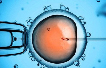 做试管不是人人要吃辅酶Q10，这几种情况吃效果才好