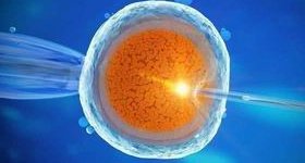 人流之后多久能做试管婴儿？至少一个月