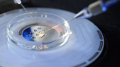 呼伦贝尔满洲里市做试管婴儿的医院有哪些，呼伦贝尔满洲里市做试管婴儿的医院有哪些